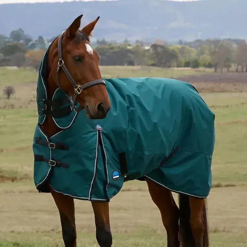 WeatherBeeta ComFiTec Classic 220g Turnout Combo Rug - Forest Green/Black