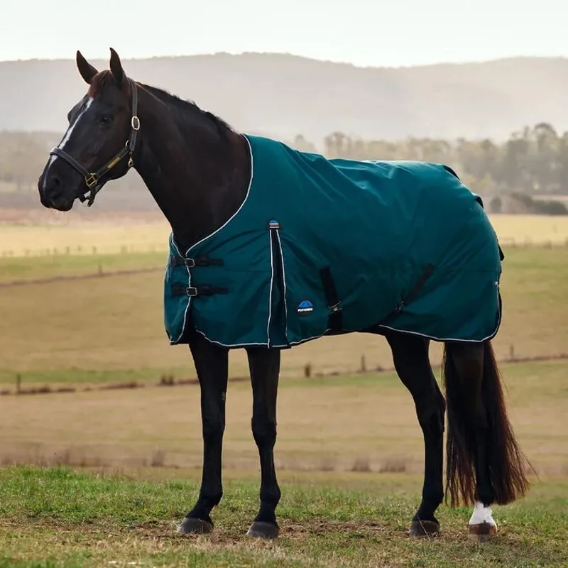 WeatherBeeta ComFiTec Classic 50g Turnout Rug  - Forest Green/Black 