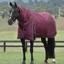 WeatherBeeta ComFiTec Essential 220G Turnout Rug Detach-A-Neck - Burgundy