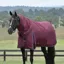 WeatherBeeta ComFiTec Essential 50g Turnout Detach-A-Neck - Burgundy/Navy