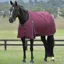 WeatherBeeta ComFiTec Essential 100g Turnout - Burgundy/Navy