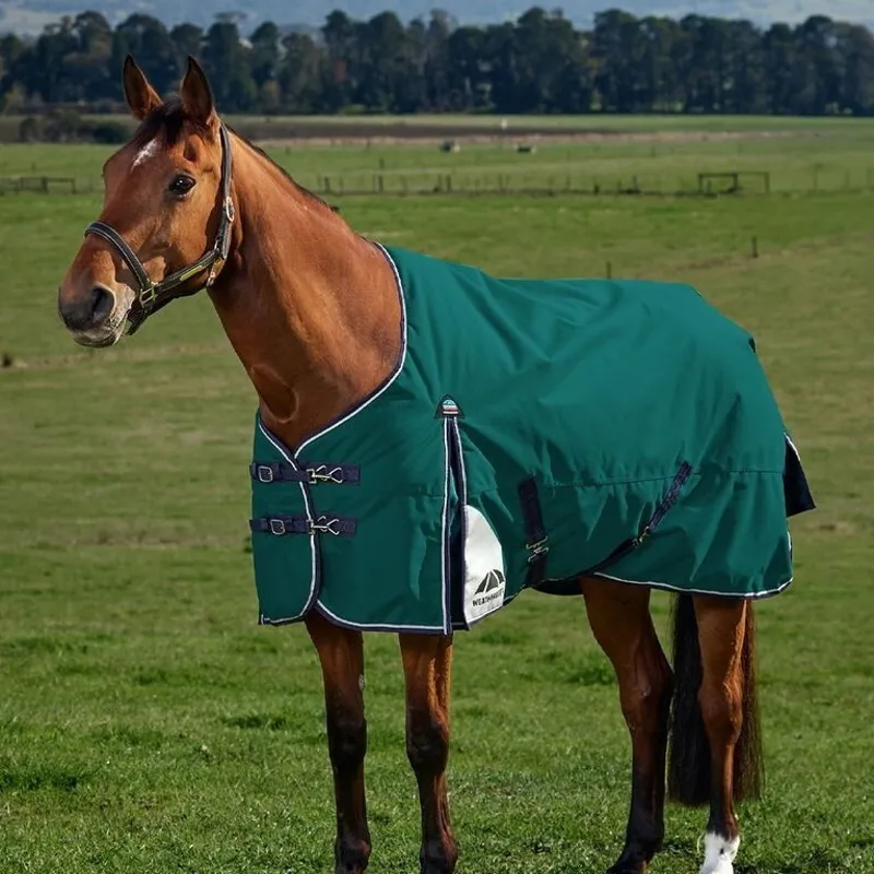 WeatherBeeta ComFiTec Plus 0G Dynamic Turnout Rug - Forest Green