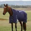 WeatherBeeta ComFiTec Plus 100G Dynamic Turnout High Neck Rug - Navy