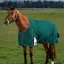 WeatherBeeta ComFiTec Plus 100G Dynamic Turnout Rug - Forest Green