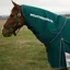 WeatherBeeta ComFiTec Plus 220G Dynamic Turnout Rug Neck Cover - Forest Green