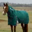 WeatherBeeta ComFiTec Plus Dynamic 0g Turnout Detach-A-Neck Rug - Forest Green