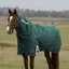 WeatherBeeta ComFiTec Plus Dynamic 100g Turnout Detach-A-Neck Rug - Forest Green