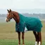 WeatherBeeta ComFiTec Plus Dynamic 100G Turnout High Neck Rug - Forest Green
