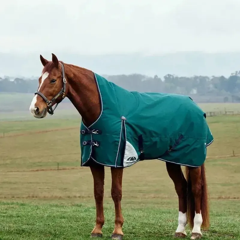 WeatherBeeta ComFiTec Plus Dynamic 220G Turnout High Neck Rug- Forest Green