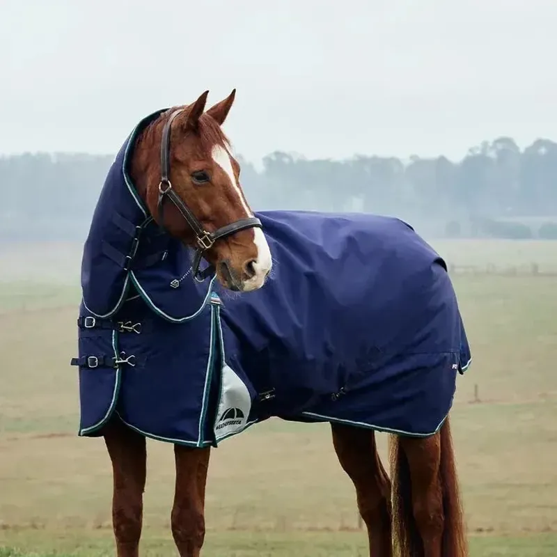 WeatherBeeta ComFiTec Plus Dynamic Turnout 100G Detach-A-Neck Rug - Navy/Forest Green
