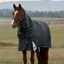 WeatherBeeta ComFiTec Ultra 360g Turnout Detach-A-Neck - Charcoal