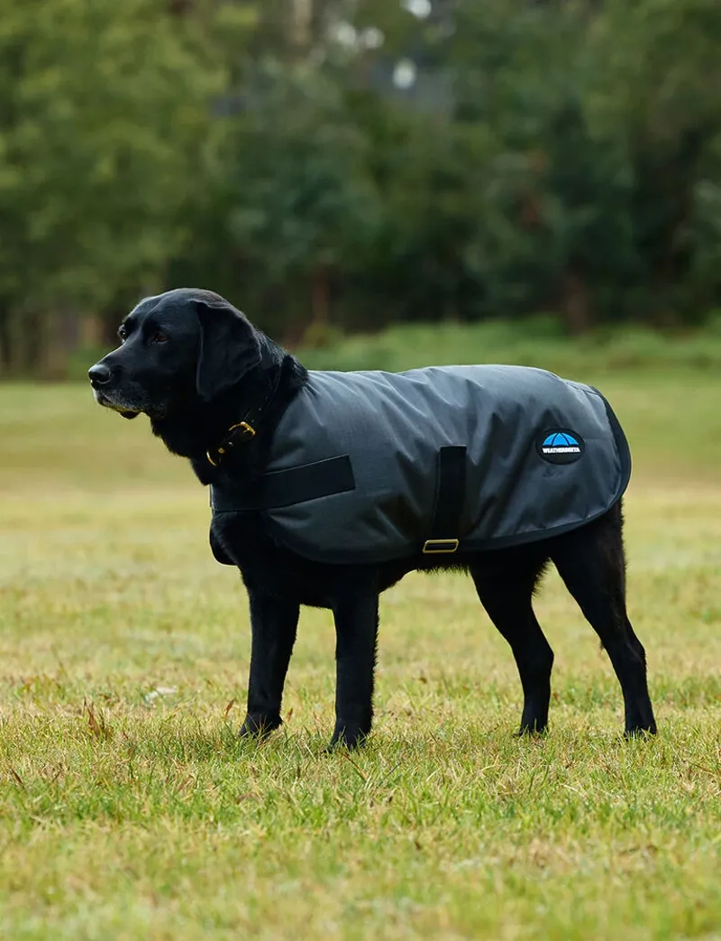 WeatherBeeta ComFiTec Classic Waterproof Dog Coat - Charcoal-3