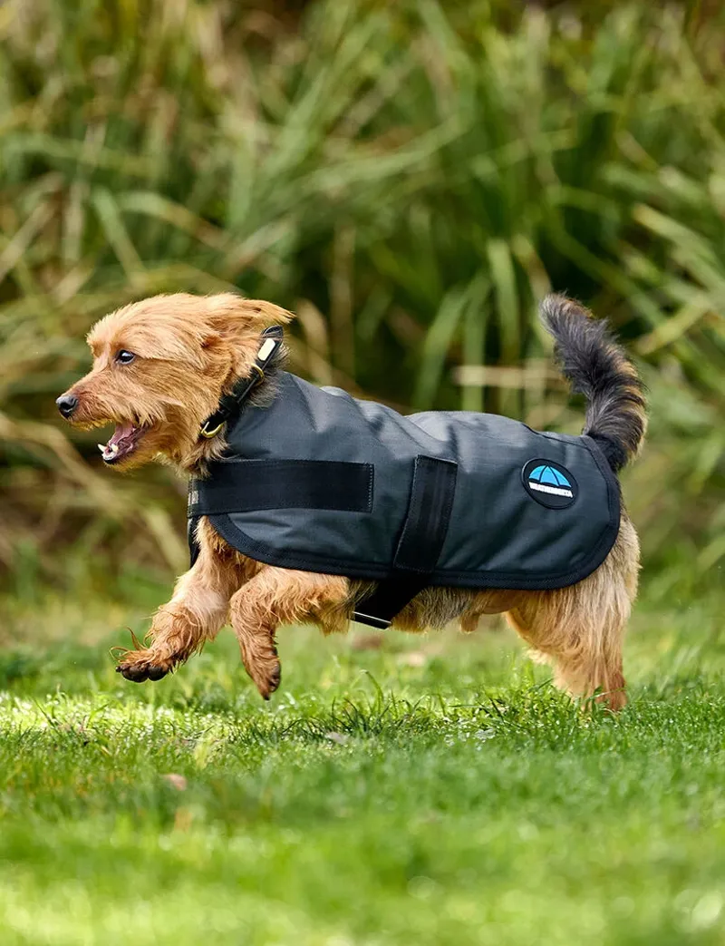 WeatherBeeta ComFiTec Classic Waterproof Dog Coat - Charcoal-1