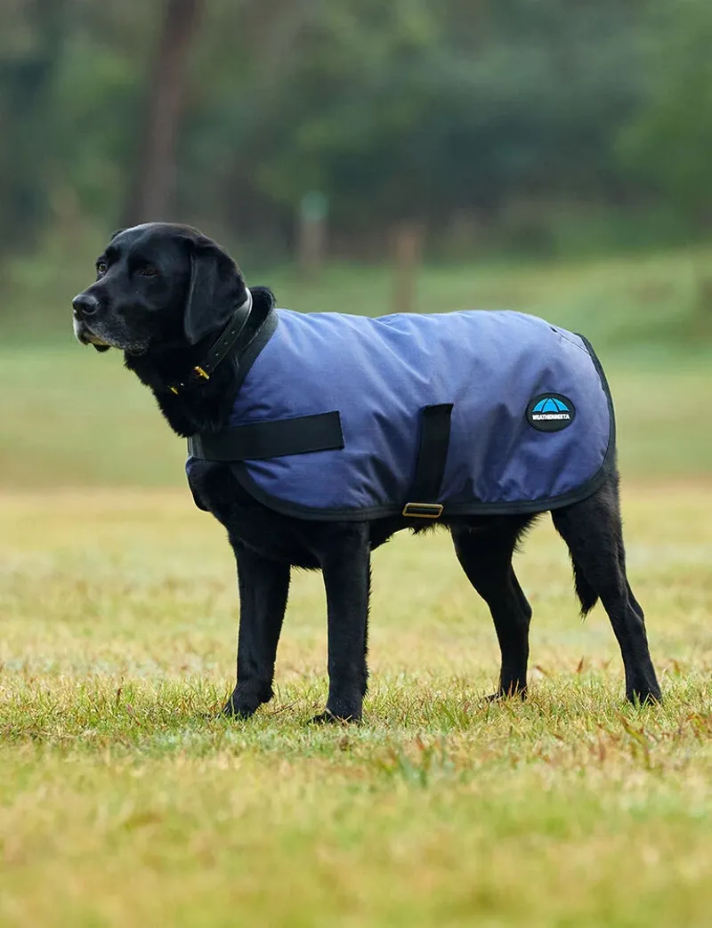 WeatherBeeta ComFiTec Classic Waterproof Dog Coat - Navy-2