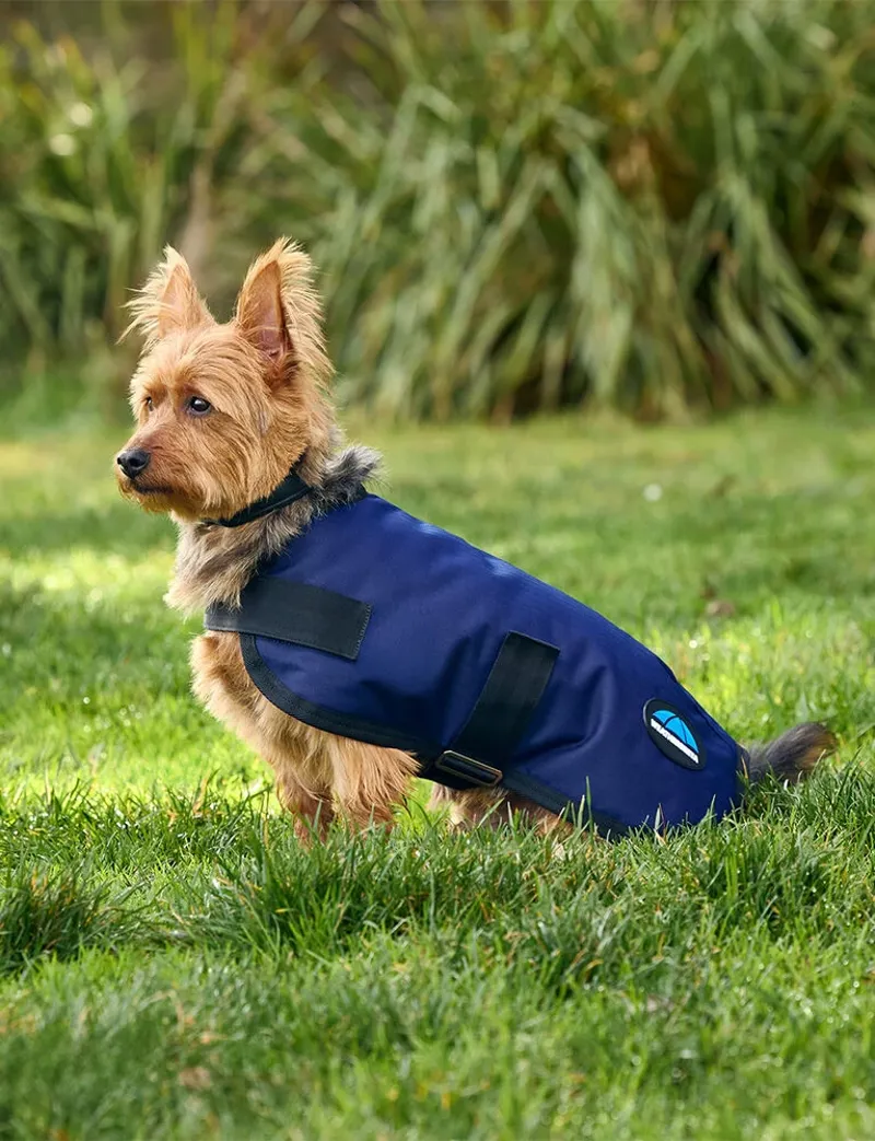 WeatherBeeta ComFiTec Classic Waterproof Dog Coat - Navy-1