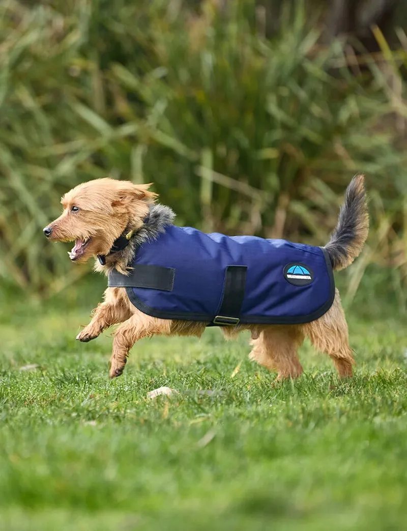 WeatherBeeta ComFiTec Classic Waterproof Dog Coat - Navy