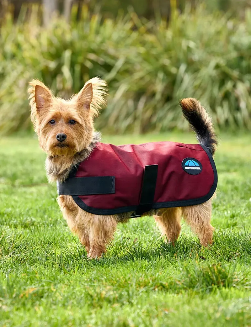 WeatherBeeta ComFiTec Classic Waterproof Dog Coat - Burgundy