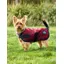 WeatherBeeta ComFiTec Classic Waterproof Dog Coat - Burgundy