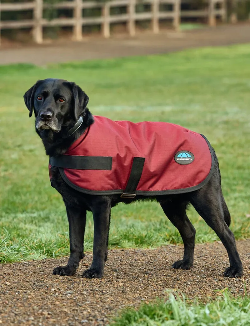 WeatherBeeta ComFiTec Classic Waterproof Dog Coat - Burgundy-2