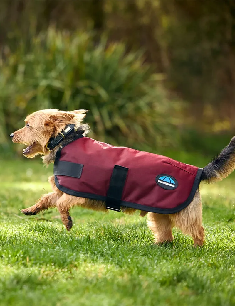 WeatherBeeta ComFiTec Classic Waterproof Dog Coat - Burgundy-1