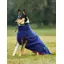 WeatherBeeta ComFiTec Fleece Zip Dog Coat - Navy/Burgundy