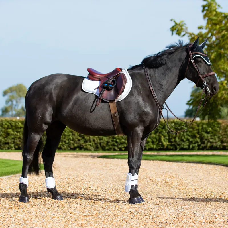 Equilibrium Tri-Zone Fetlock Boots - White-1