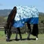WeatherBeeta ComFiTec Essential 220g Turnout Rug - Winter Print