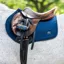 Woof Wear Elite Comfort CC Saddlepad - Navy