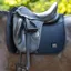Woof Wear Elite Comfort Dressage Saddlepad - Black