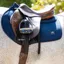 Woof Wear Elite Comfort Plus CC Saddlepad - Navy