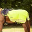 Woof Wear Exercise Sheet - Hi Vis Yellow