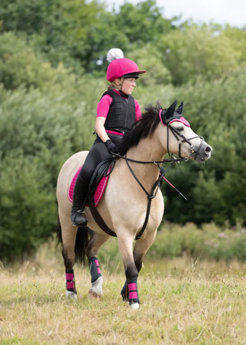 Woof Wear Club Brushing Boot - Berry-1