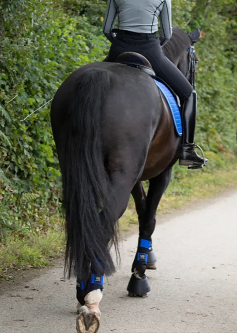 Woof Wear Club Brushing Boot - Electric Blue-1