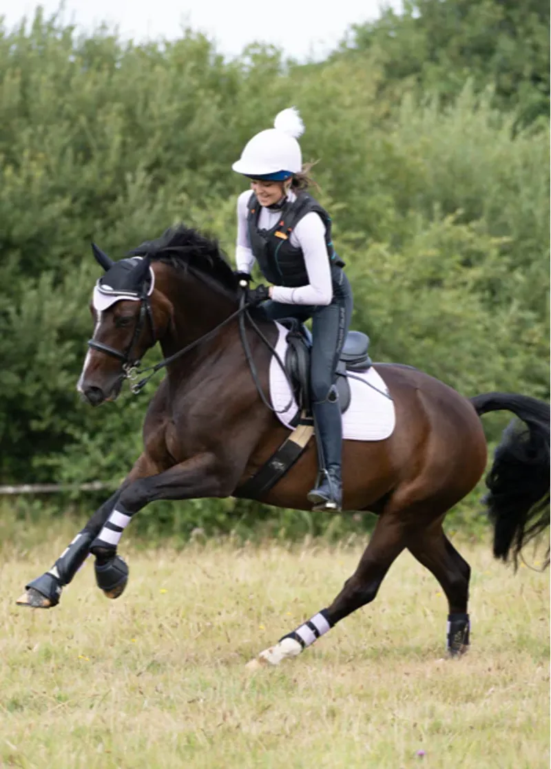 Woof Wear Club Brushing Boot - Lilac-1