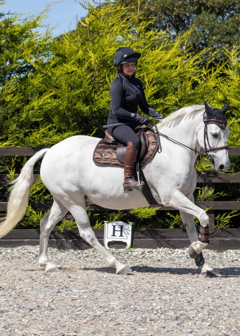 Woof Wear Club Brushing Boot - Mocha-1