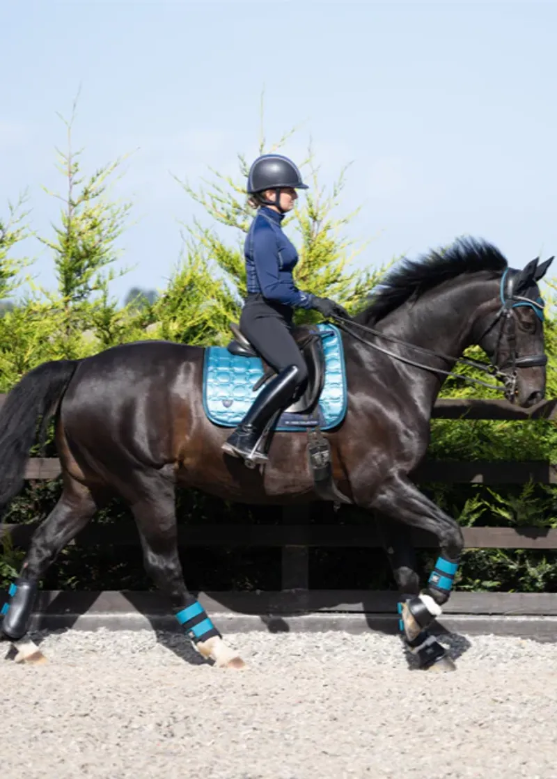 Woof Wear Club Brushing Boot - Ocean-1