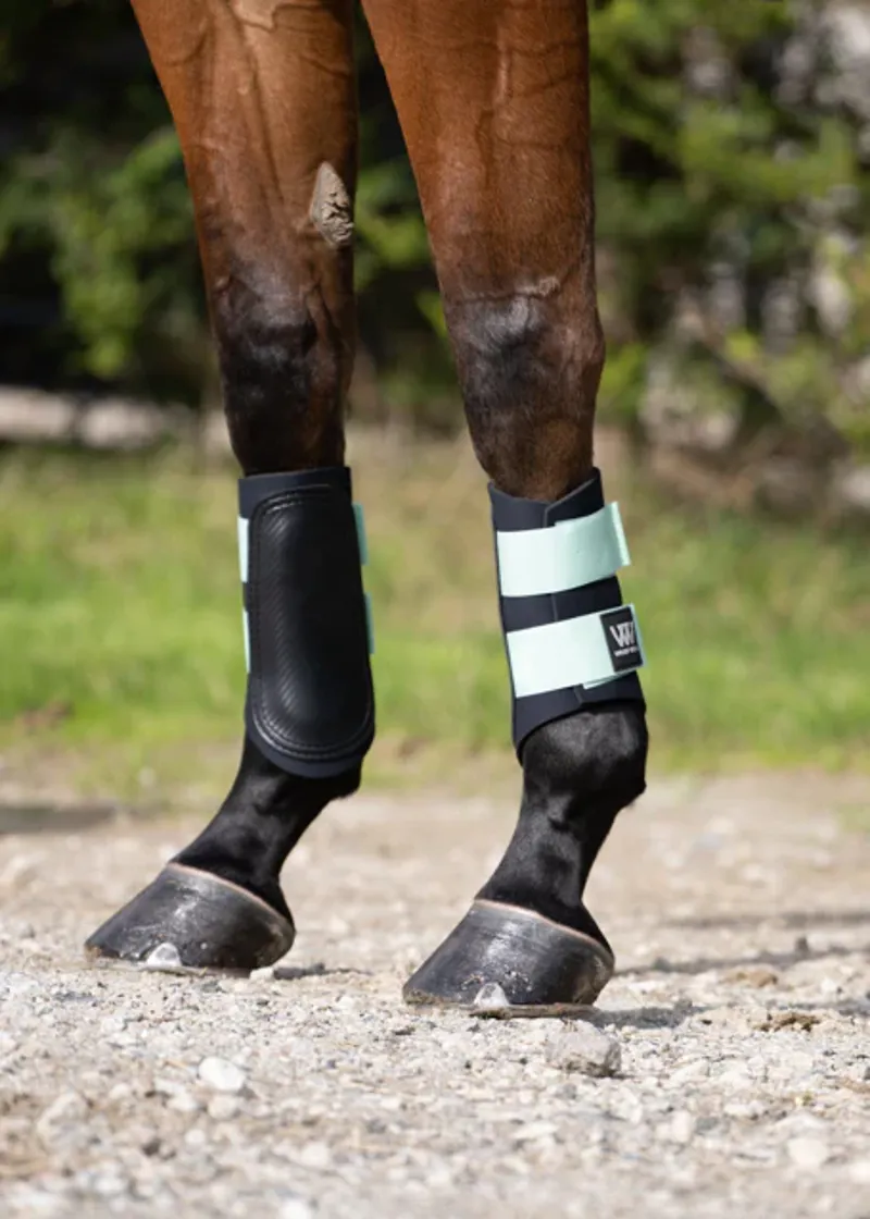 Woof Wear Club Brushing Boot - Pistachio-1