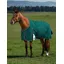 WeatherBeeta ComFiTec 220G Plus Dynamic Turnout Rug - Forest Green