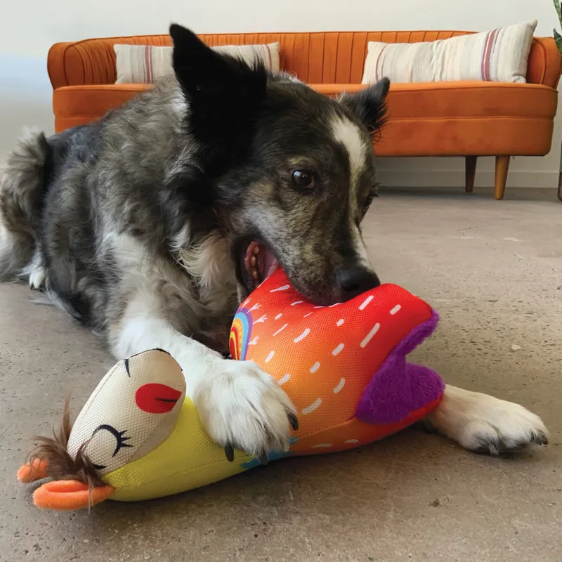 KONG Ballistic Vibez Llamas - Assorted Characters -3