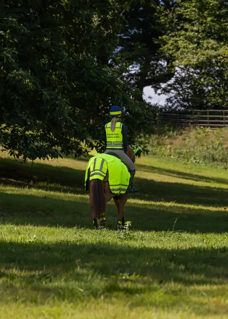 Woof Wear Exercise Sheet - Hi Vis Yellow-1