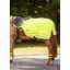 Woof Wear Exercise Sheet - Hi Vis Yellow