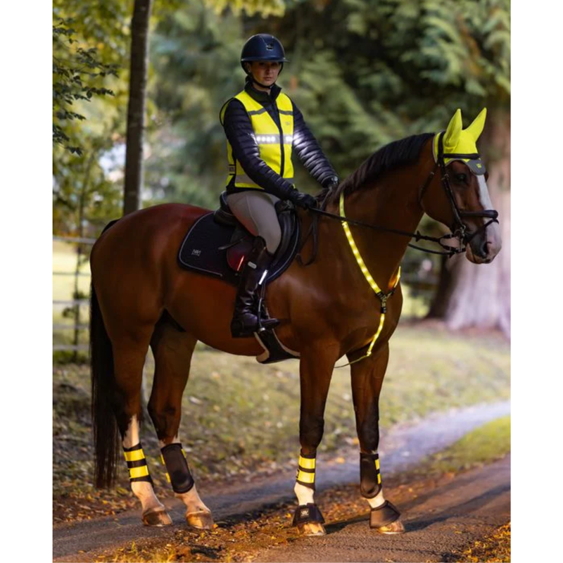 Woof Wear LED Hi Vis Riding Vest - Hi Vis Yellow-2