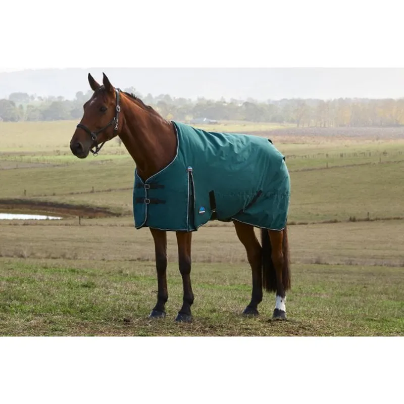 WeatherBeeta ComFiTec Classic 220g Turnout Rug - Forest Green/Black 