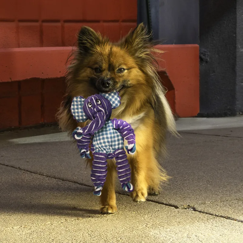 KONG Floppy Knots Elephant - Medium/ Large-2