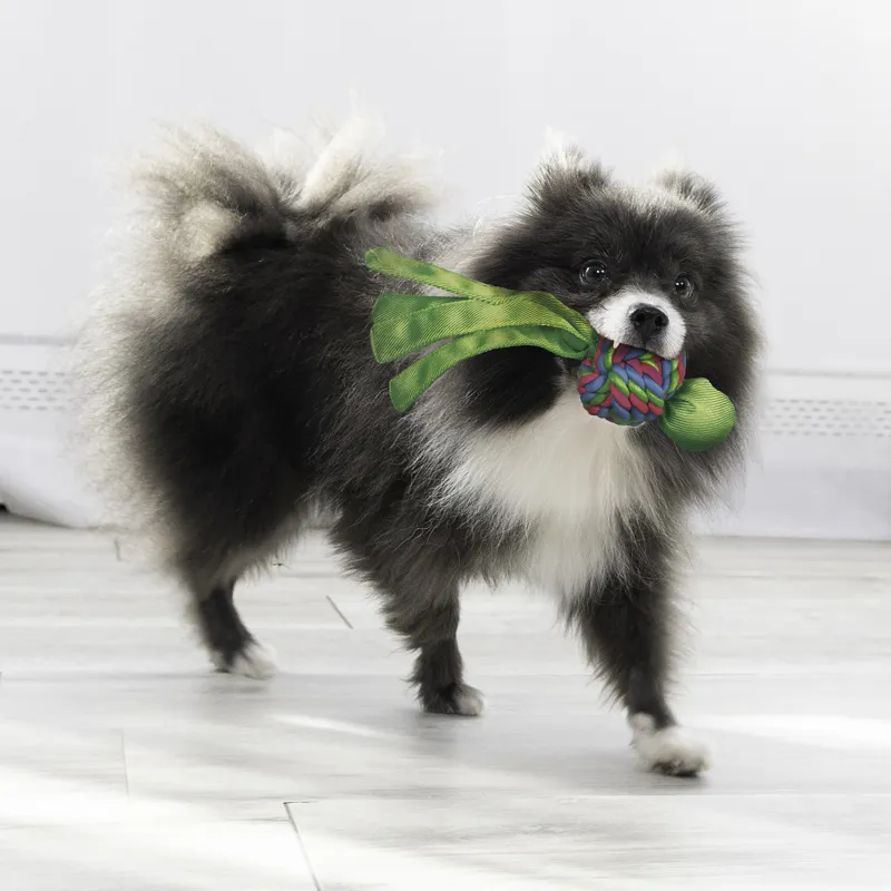 KONG Wubba Weaves -3