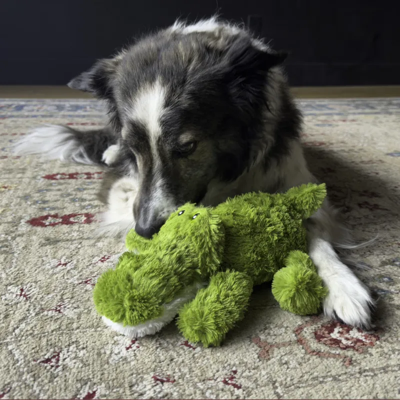 KONG Cozie Ali Alligator - X-Large -2