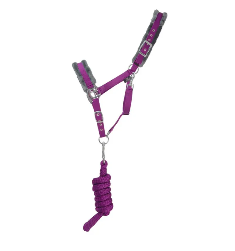 Hy Sport Active Head Collar and Lead Rope - Amethyst Purple