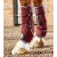 Premier Equine Quick Dry Horse Leg Wraps - Burgundy