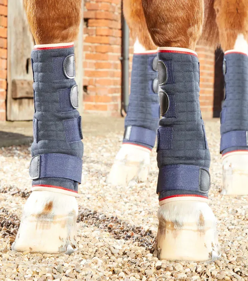 Premier Equine Quick Dry Horse Leg Wraps - Navy-3