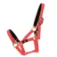 Hy Equestrian Fieldsafe Head Collar - Red